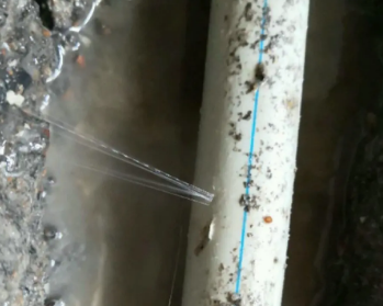 佛坪卫生间测漏水多少钱